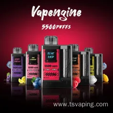 Wholesale Vape Juice 5500 Puffs Big Capacity ECig